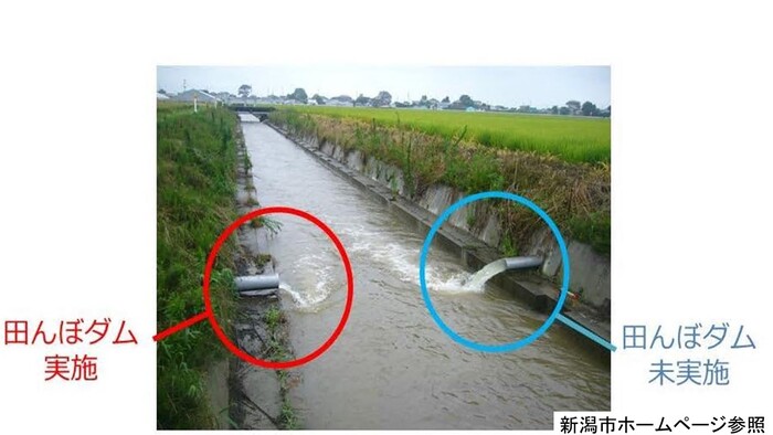 田んぼダム実施 未実施比較写真