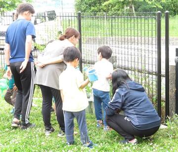 20250602水遣り1