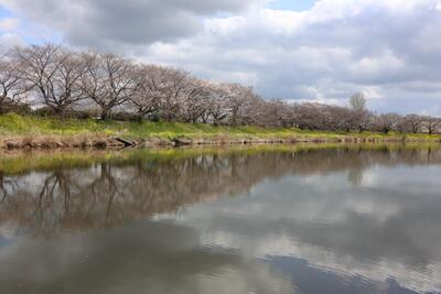 びん沼自然公園