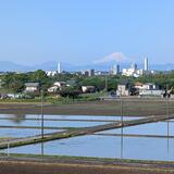 南畑新田付近　4月　ランニングしながらの富士山（山本智由さん（市内在住）撮影）