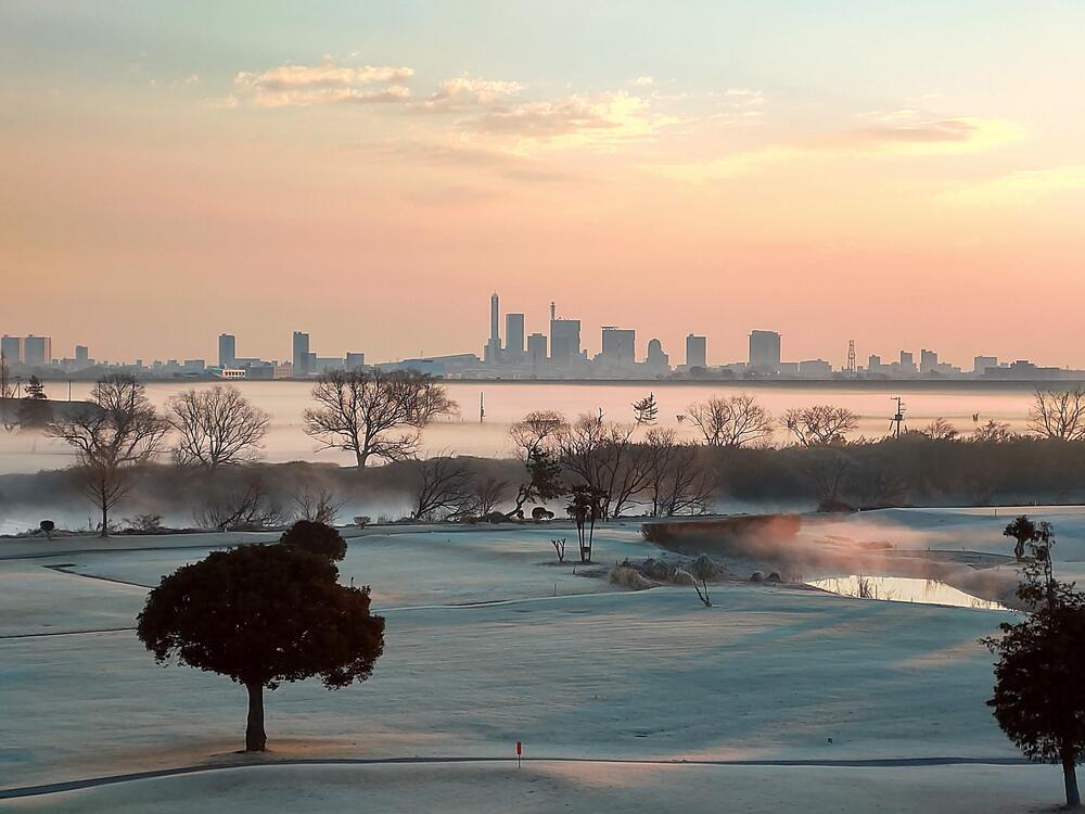 南畑新田付近　2月　ランニングしながらのさいたま新都心（山本智由さん（市内在住）撮影）