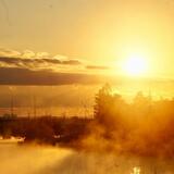 びん沼川　2024年1月1日　厳寒の元日早朝、びん沼川の富士山撮影スポットで幻想的な光景に出会い心を洗われました（金子洋士さん（市内在住）撮影）