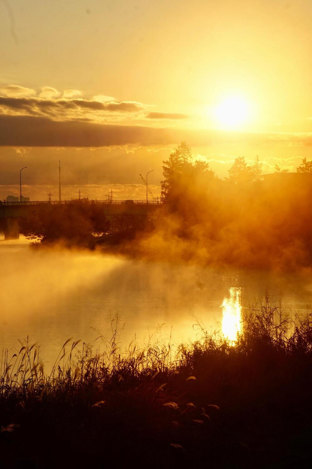びん沼川　2024年1月1日　厳寒の元日早朝、びん沼川の富士山撮影スポットで幻想的な光景に出会い心を洗われました（金子洋士さん（市内在住）撮影）
