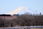 蛇島調節池周辺の富士山