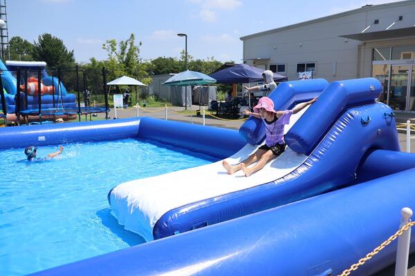 びん沼自然公園の写真2