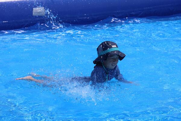 びん沼自然公園の写真3