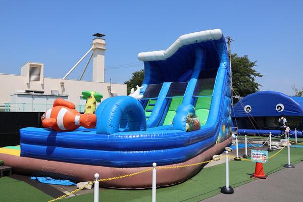 びん沼自然公園の写真4