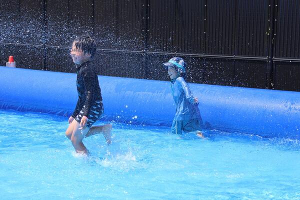 びん沼自然公園の写真5