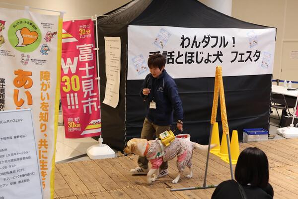 盲導犬のデモンストレーションの写真