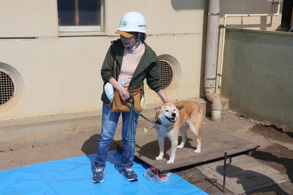水谷東災害時ペット同行避難訓練の写真