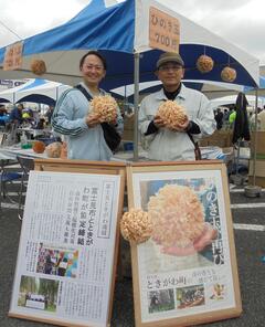 ときがわ町画像